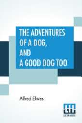 The Adventures Of A Dog, And A Good Dog Too