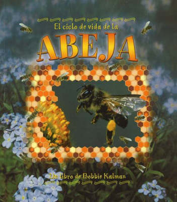El Ciclo de Vida de Abeja