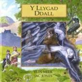 Y Llygad Ddall