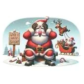 Where is Santa's Sleigh?