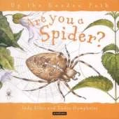 Are You a Spider?