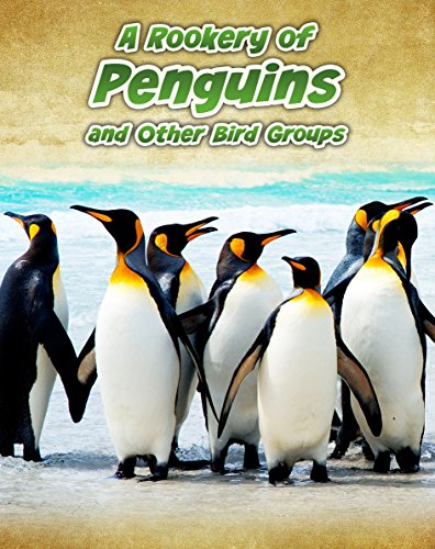 Animals in Groups Pack A of 4