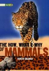Literacy World Satellites Non Fic Stage 3 The How, What and Why of Mammals