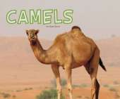 Meet Desert Animals Pack A of 4
