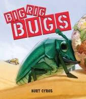 Big Rig Bugs