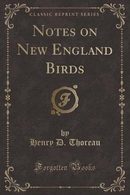 Notes on New England Birds (Classic Reprint)