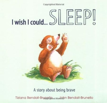 I Wish I Could... Sleep!: A Story About Being Brave
