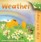 Flip the Flaps: Weather