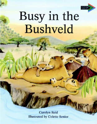 Busy in the Bushveld South African edition