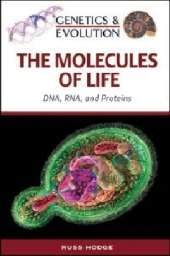 The Molecules of Life: DNA, RNA and Proteins