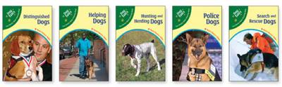 Dog Tales: True Stories About Amazing Dogs Set