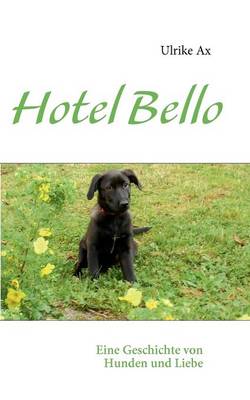 Hotel Bello