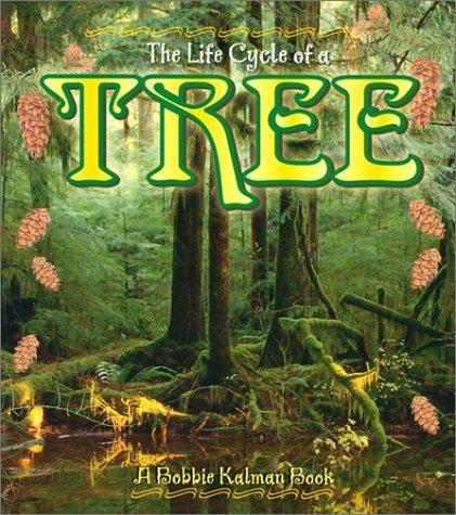 The Life Cycle of the Tree