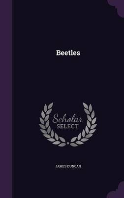 Beetles