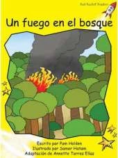 Un Fuego En El Bosque
