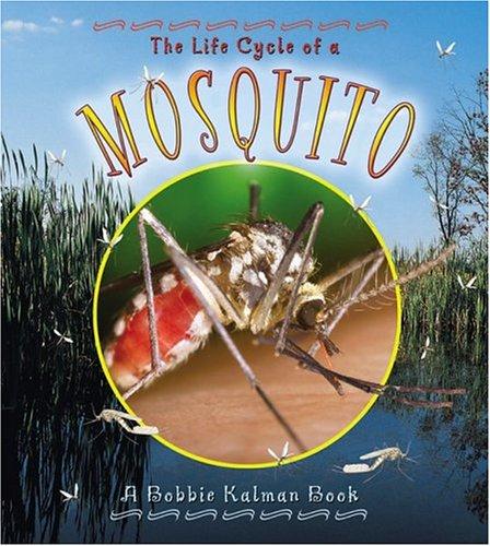The Life Cycle of the Mosquito