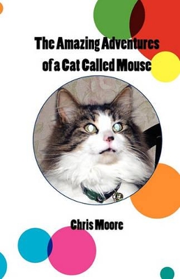 The Amazing Adventures of a Cat Called Mouse