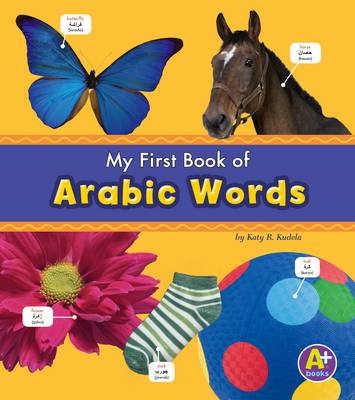 Bilingual Picture Dictionaries