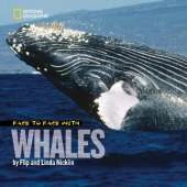 Face to Face with Whales