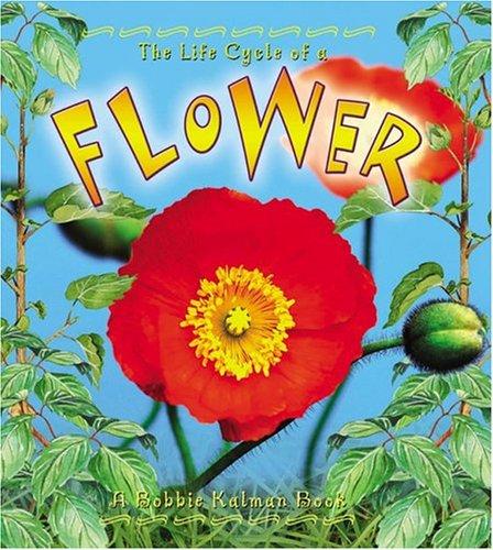 The Life Cycle of the Flower