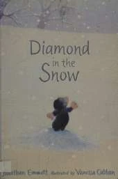 Diamond In The Snow