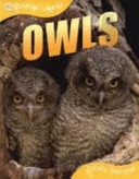 Owls