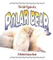 The Life Cycle of the Polar Bear