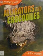 Crocodiles and Alligators