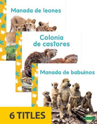Grupos de animales (Animal Groups) (Set of 6)