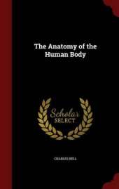 The Anatomy of the Human Body