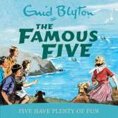 Five Have Plenty Of Fun: Book 14