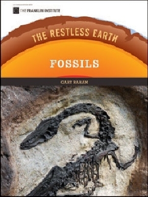 Fossils