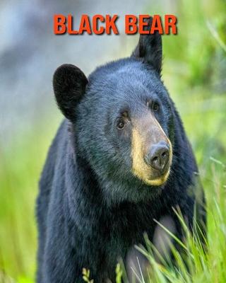Black Bear: Beautiful Pictures & Interesting Facts Children Book About Black Bear