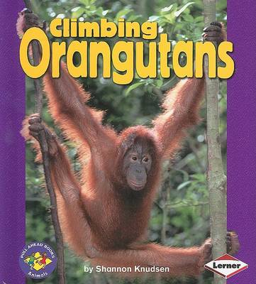 Climbing Orangutans