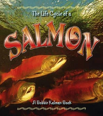 The Life Cycle of the Salmon