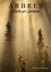 Arbres. Foret et Lumiere 2017: Des Arbres dans Toute Leur Beaute