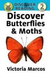 Discover Butterflies & Moths