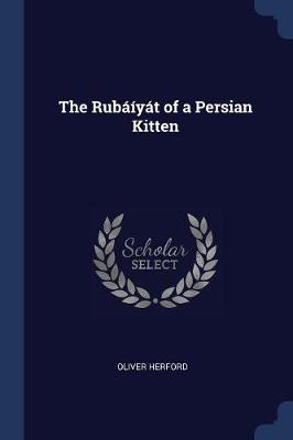The Rub-Yt of a Persian Kitten