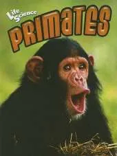 Primates