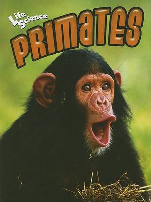 Primates