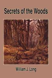 Secrets of the Woods