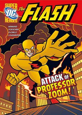 DC Super Heroes: The Flash: Pack A of 6
