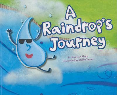 A Raindrop's Journey