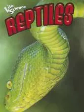 Reptiles