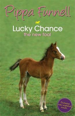 Tilly's Pony Tails: Lucky Chance the New Foal: Book 5