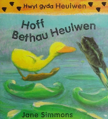 Hoff Bethau Heulwen