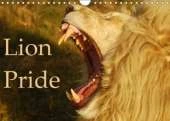 Lion Pride 2018: Captured Moments of Wild Lions in South Africa.