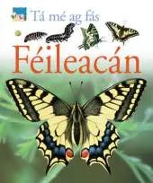 Ta me ag fas: Feileacan
