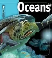 Ocean