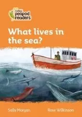 What lives in the sea?: Level 4